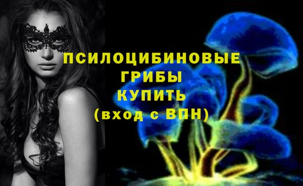 прущие крисы Балахна