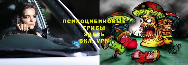 прущие крисы Балахна