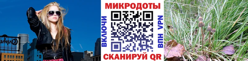 хочу   Унеча  Галлюциногенные грибы Psilocybe 