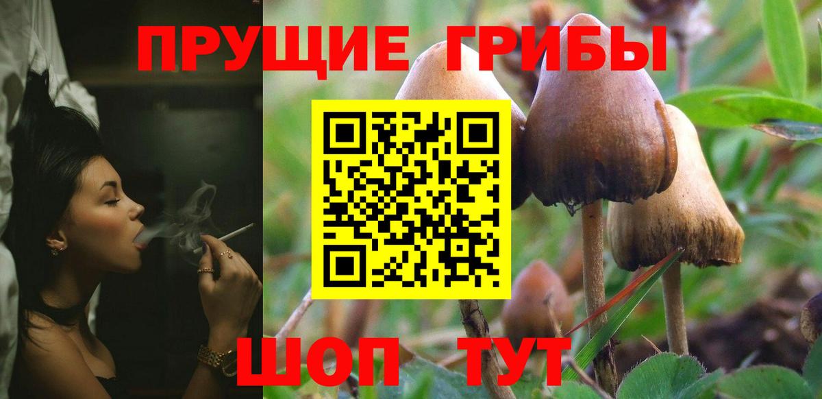 Галлюциногенные грибы прущие грибы  Вход с VPN  где можно купить наркотик  Унеча  Псилоцибиновые грибы ЛСД 